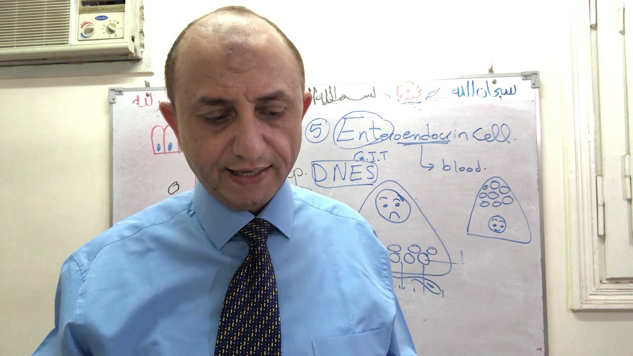 Stomach histology -part 6