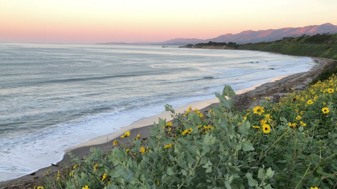 Rincon Beach Park Sunrise | 3 Hours of California Coast Ocean Sounds for Sleep & Relaxation