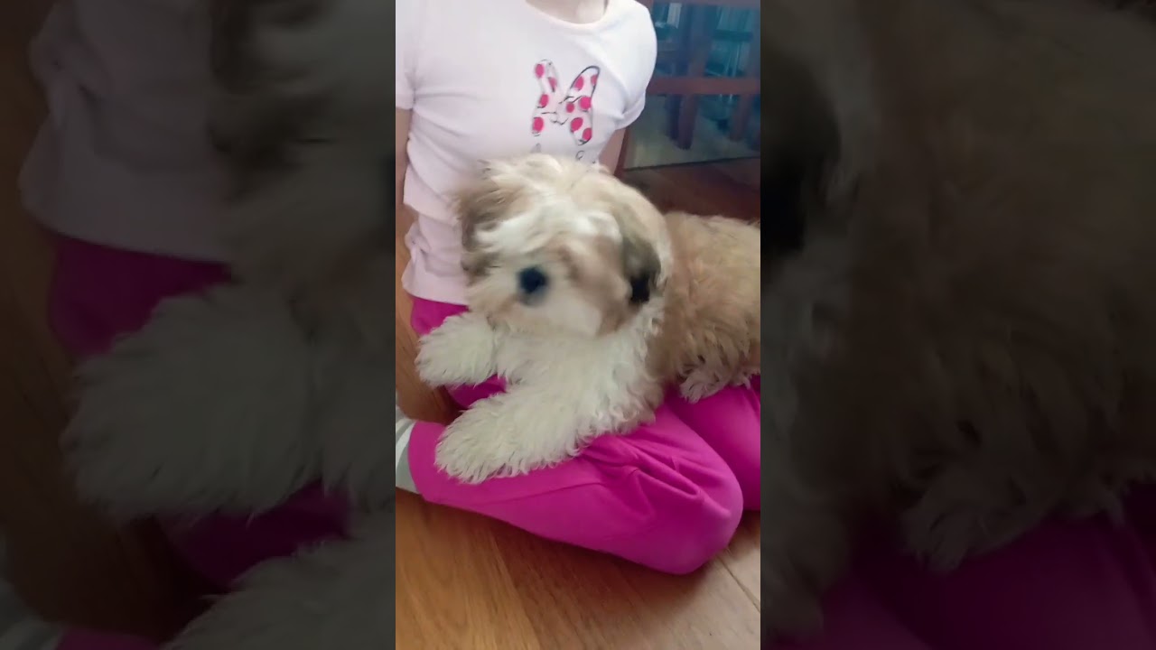 cute