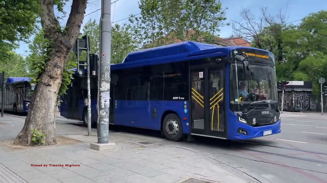 Buses in Belgrade, Serbia 2025 - Аутобуси у Београду