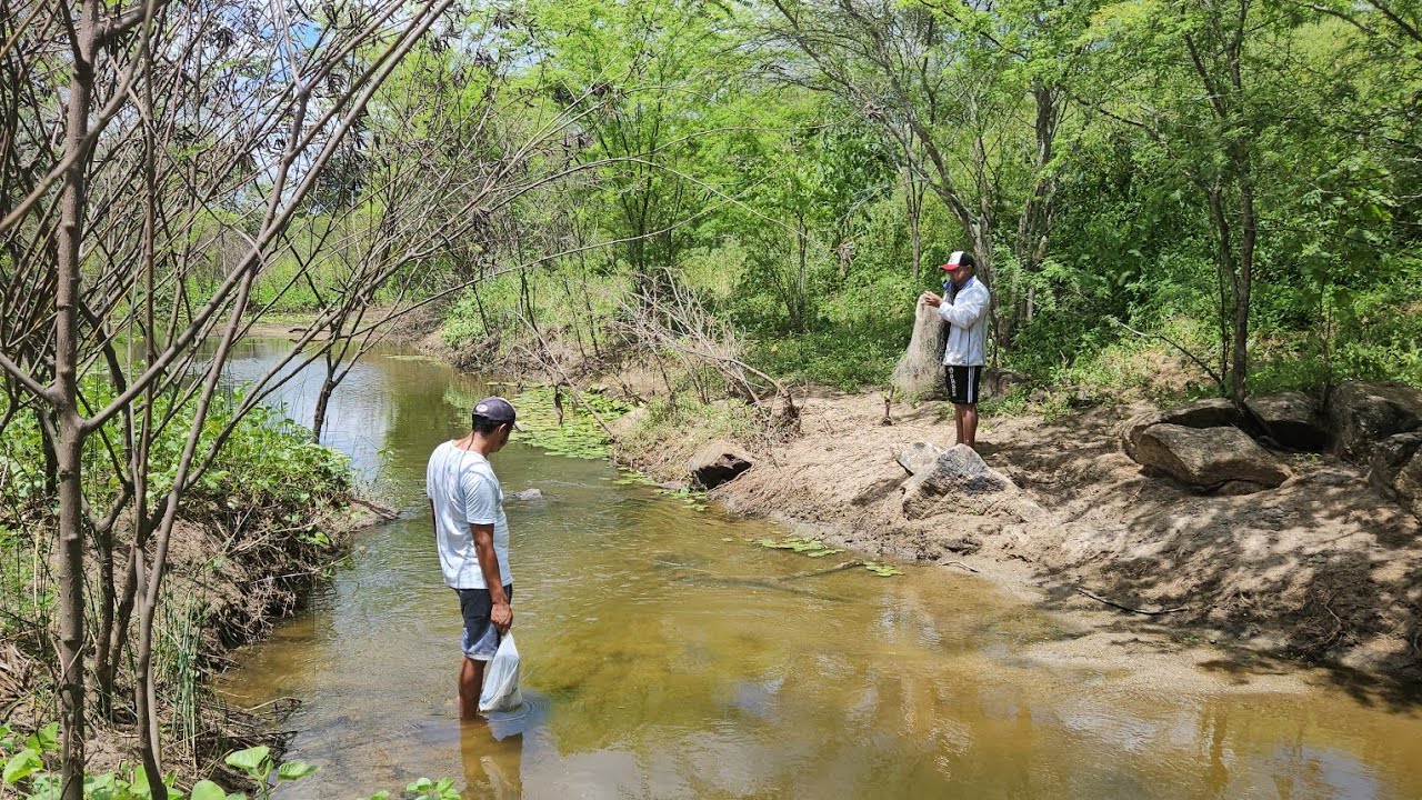 Pescaria incrível em um rio no meio da caatinga, com muitos peixes 🐟 #pescaria