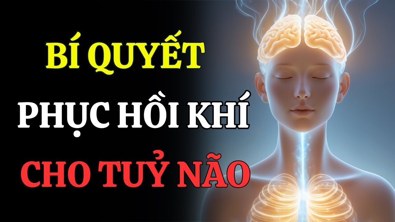 PHỤC HỒI KHÍ TUỶ NÃO – BÍ MẬT GIÚP TRÍ NHỚ SẮC BÉN VÀ TRẺ MÃI KHÔNG GIÀ