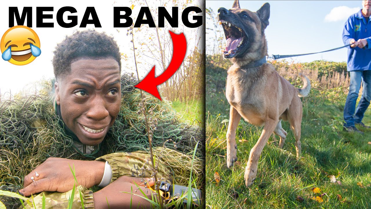 VERSTOPPERTJE met SPEURHONDEN  **HEEL BANG**