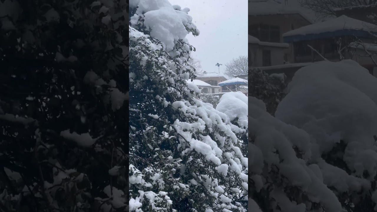 Beautiful Snowfall in Swat Valley | Winter in Pakistan
