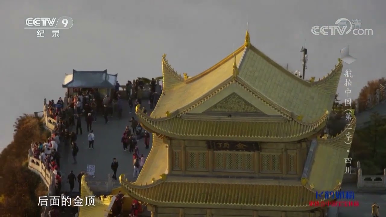 四川没有大海 但有竹海 这里一望无际 宛若人间仙境《航拍中国》第二季 四川【CCTV纪录】