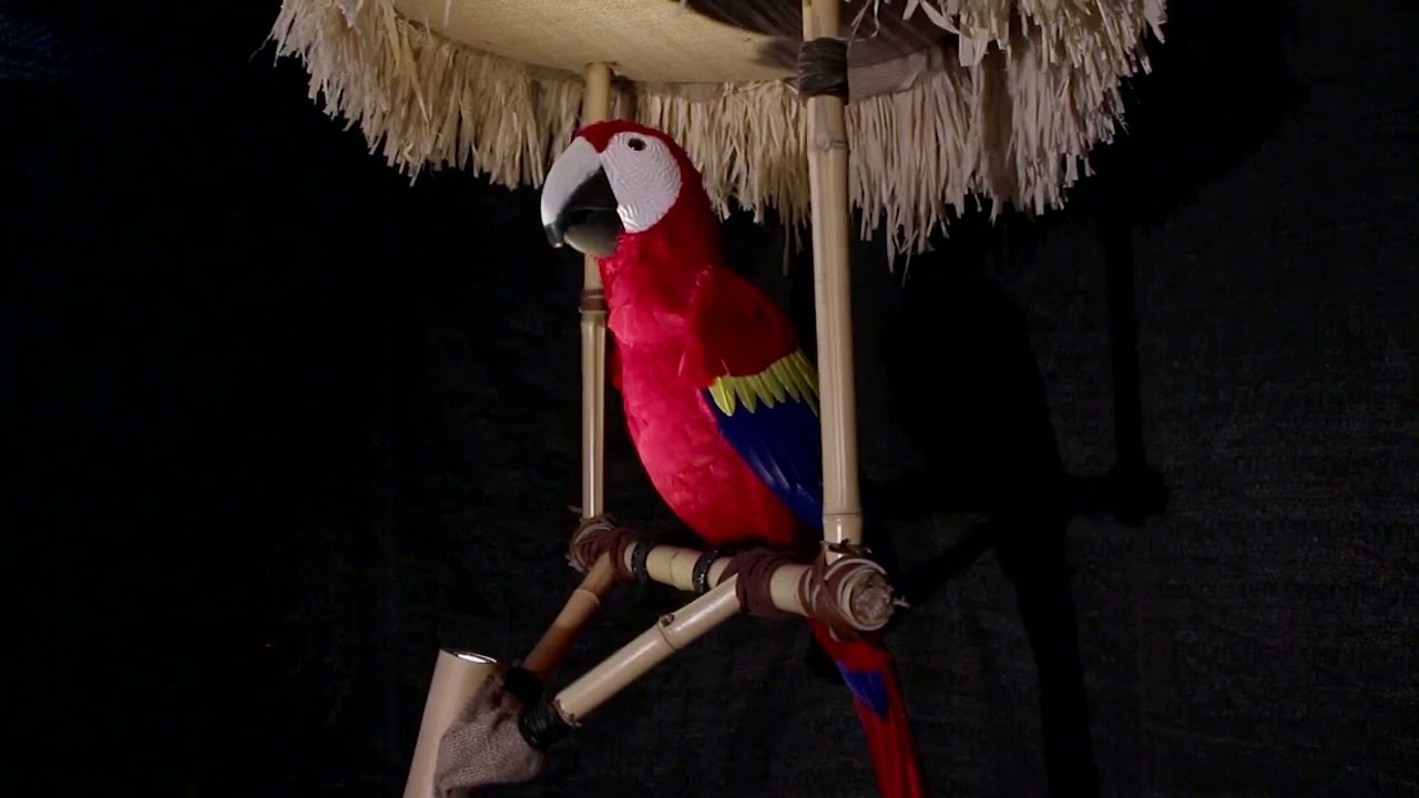Enchanted Tiki Hut Bird, Scarlet Macaw Hut Bird, Robot Eagle, Enchanted Tiki Room Micheal, Robo Bird