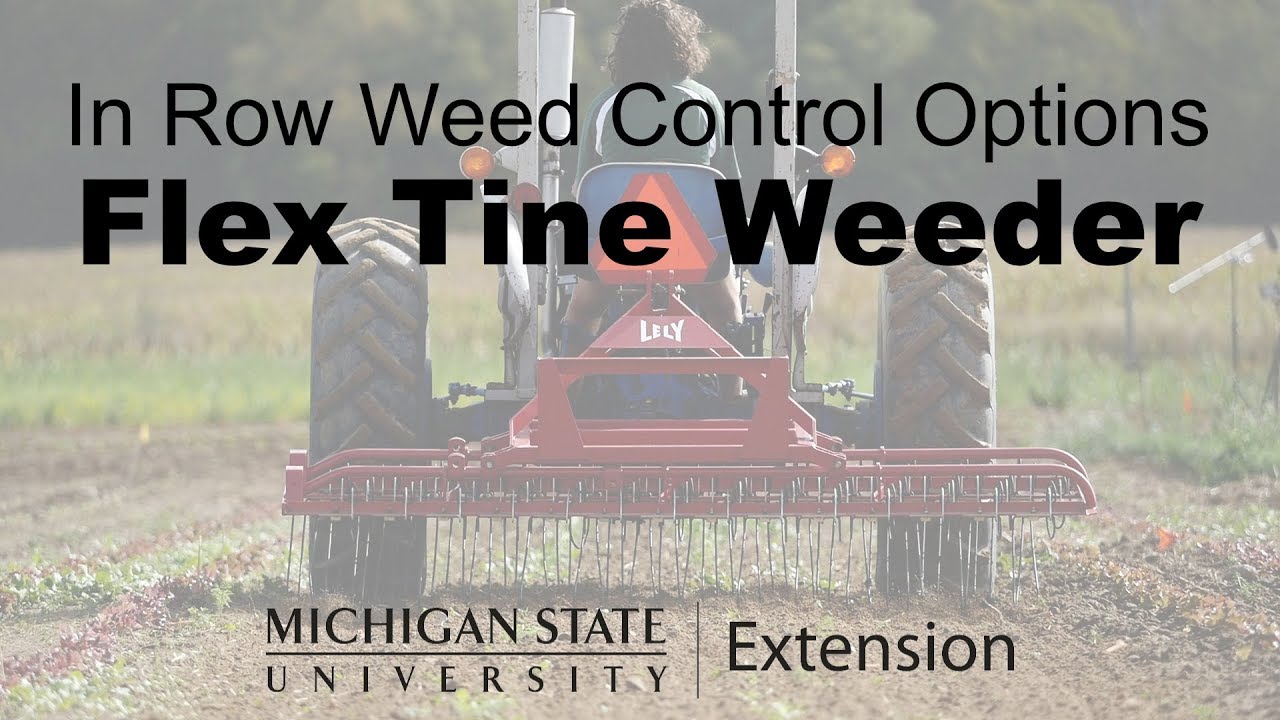 Flex Tine Cultivator - In Row Weed Control Options