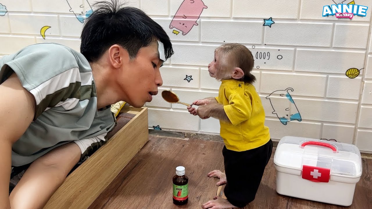 Smart Monkey Annie takes care of her dad sick
