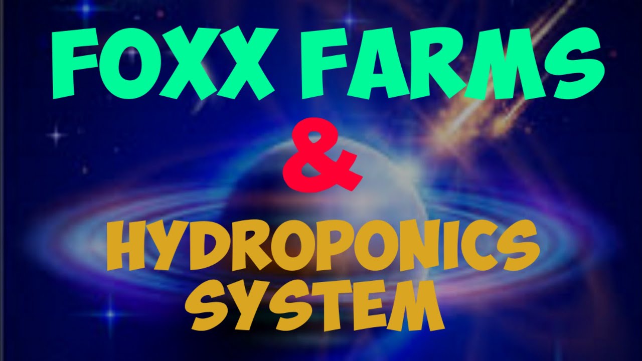 Growing With Mr Foxx RDWC Waterfall System with Outside Reservoir - DIY Setup