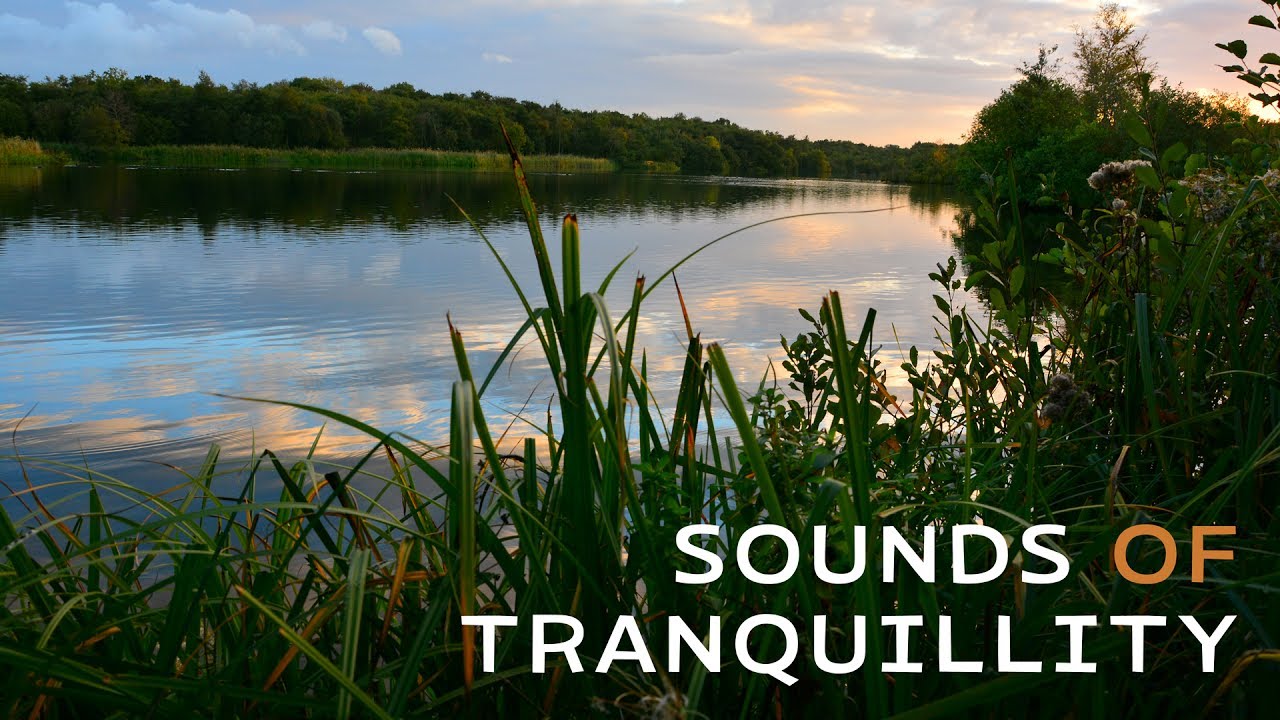 Sounds of Tranquillity
