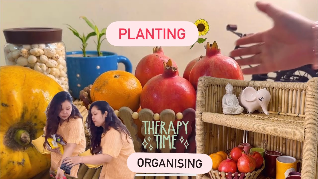 Therapy- Organise and Planting #adayinmylife #dailyvlog #weekend #cooking #streetfood #plants 
