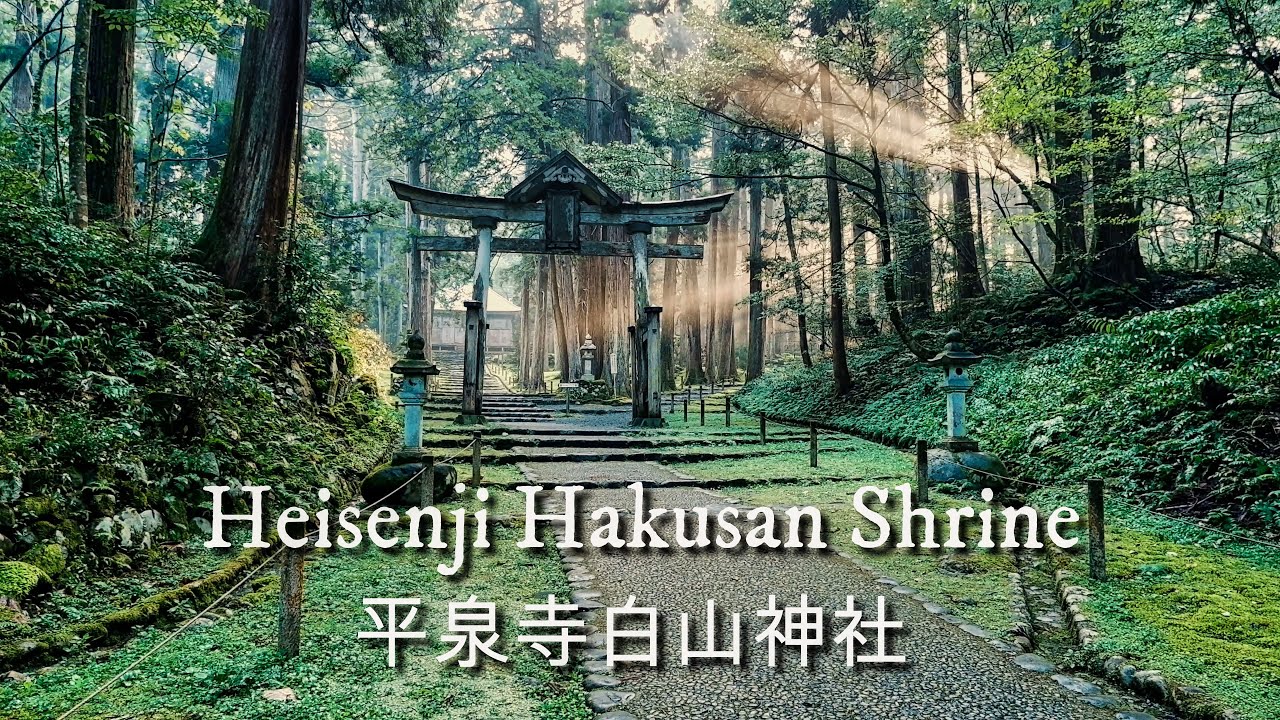 Walking around Heisenji Hakusan Jinja, the Moss Temple (4K)