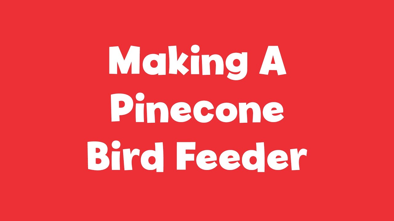 At Home With Clifford | Pinecone Bird Feeder