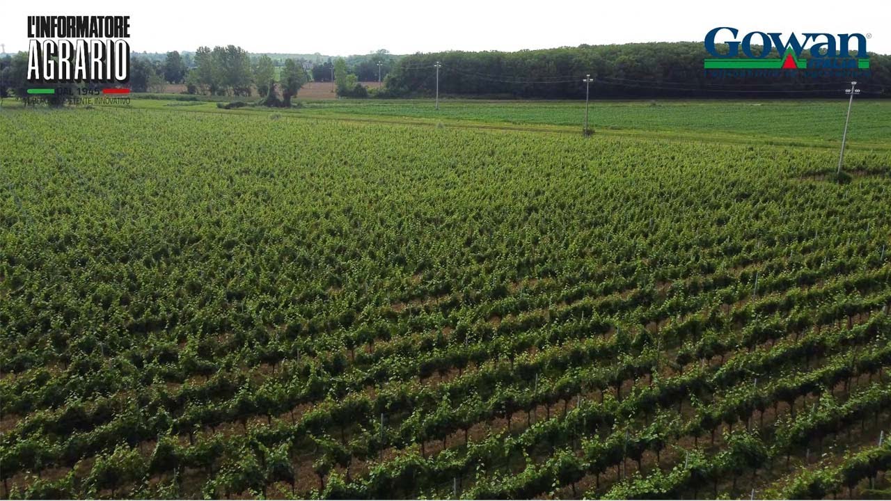 Gestione sostenibile dei trattamenti in vigneto - Riduzione della deriva