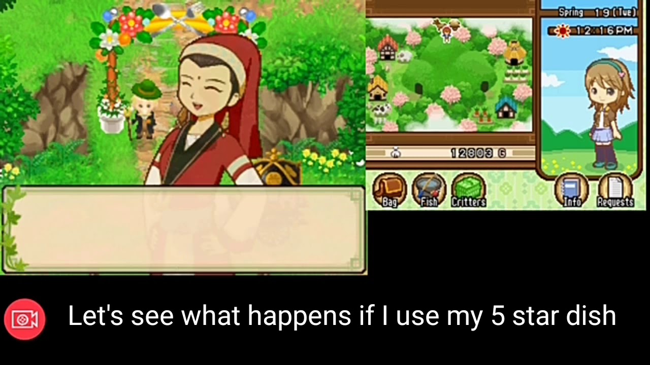 Things That Can Happen After Year 1 in Harvest Moon: Tales of Two Towns