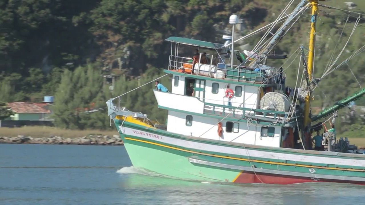 Pesca Artesanal com auxílio dos Botos em Laguna (documentário completo)