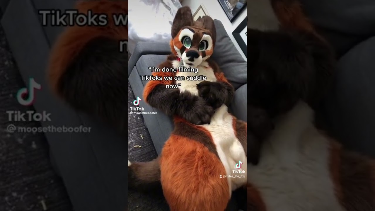 Furry Cuddles ? #furry #furryfandom #furrys #furrytrash #fursuiter