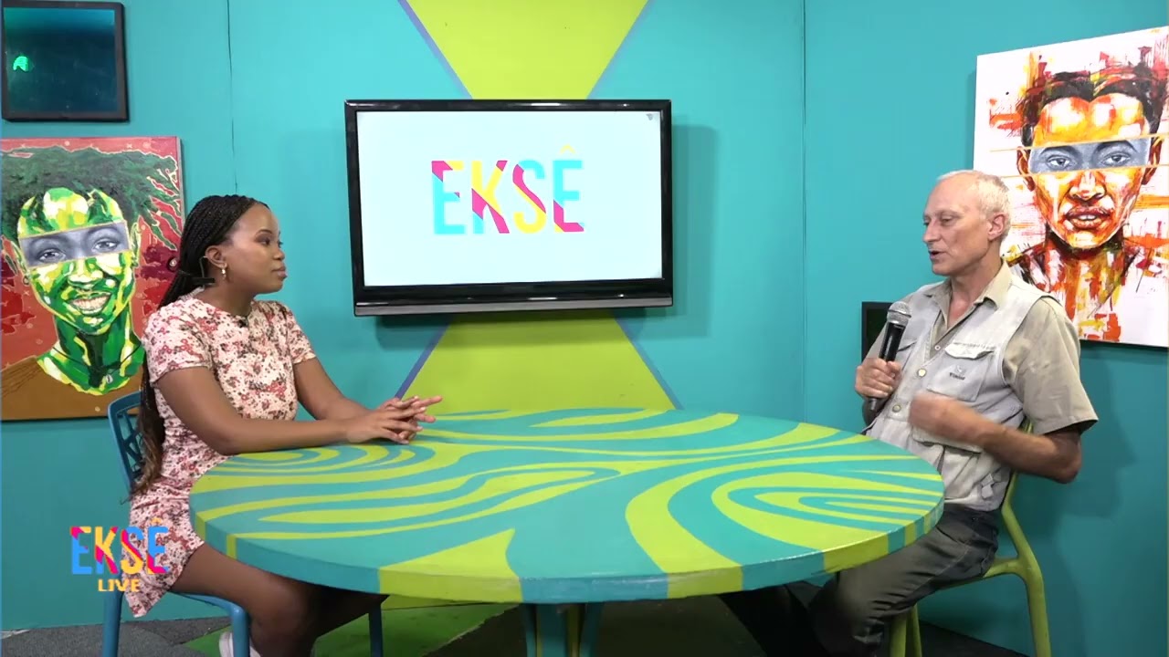 EKSE: The Switch off: From Free to Air to DTT