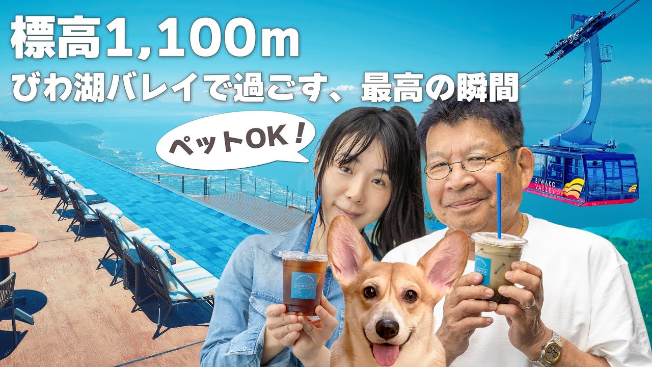 【びわ湖バレイ】ばんばひろふみ、ジップライン初挑戦！　愛犬と行ける絶景リゾートで夏を満喫🐶☀️