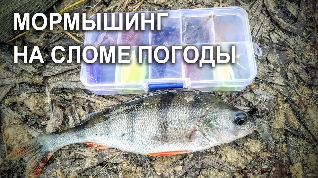 Мормышинг #2 / Слом погоды / Crazy Fish Allure 1.1