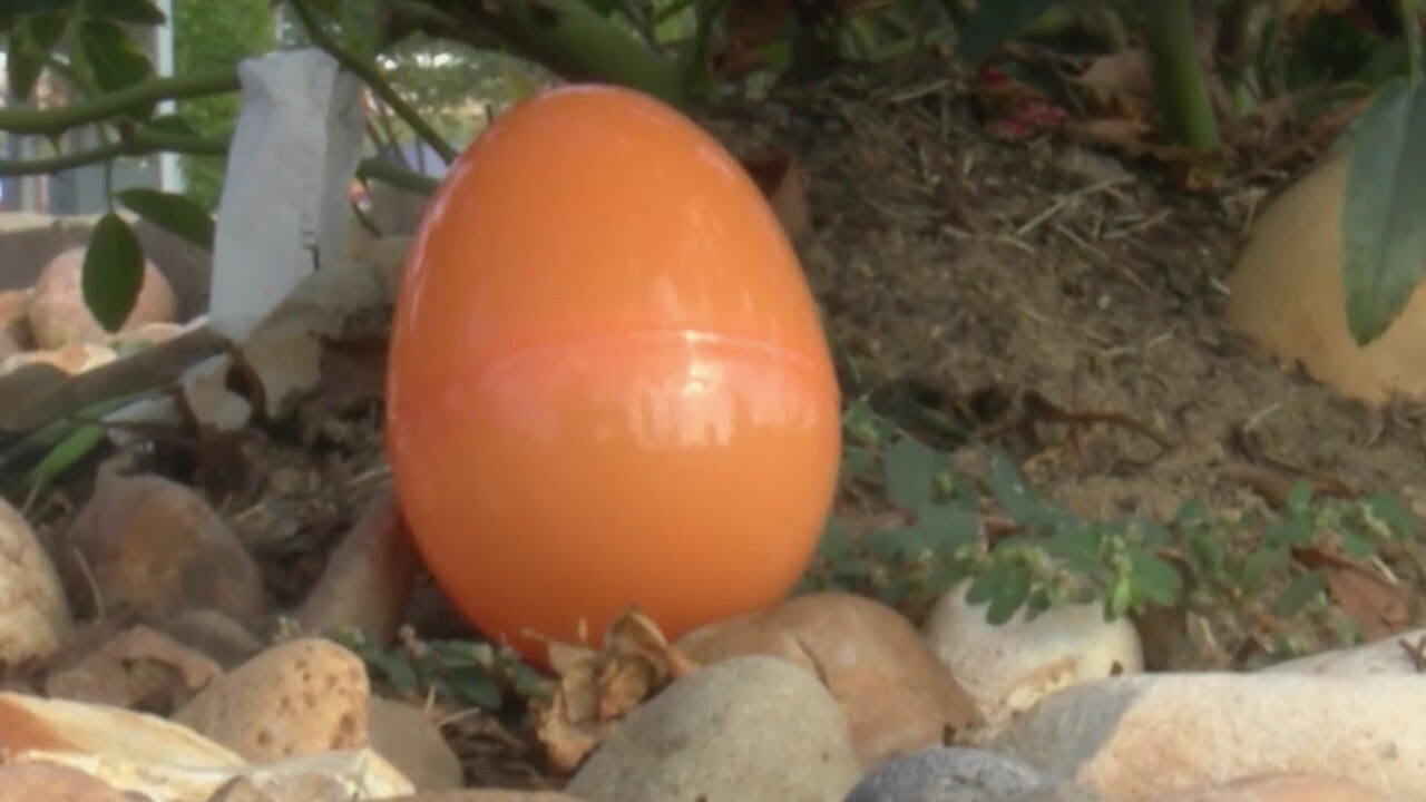 Anonymous ‘golden egg lady’ hiding hundreds in cash around Jacksonville