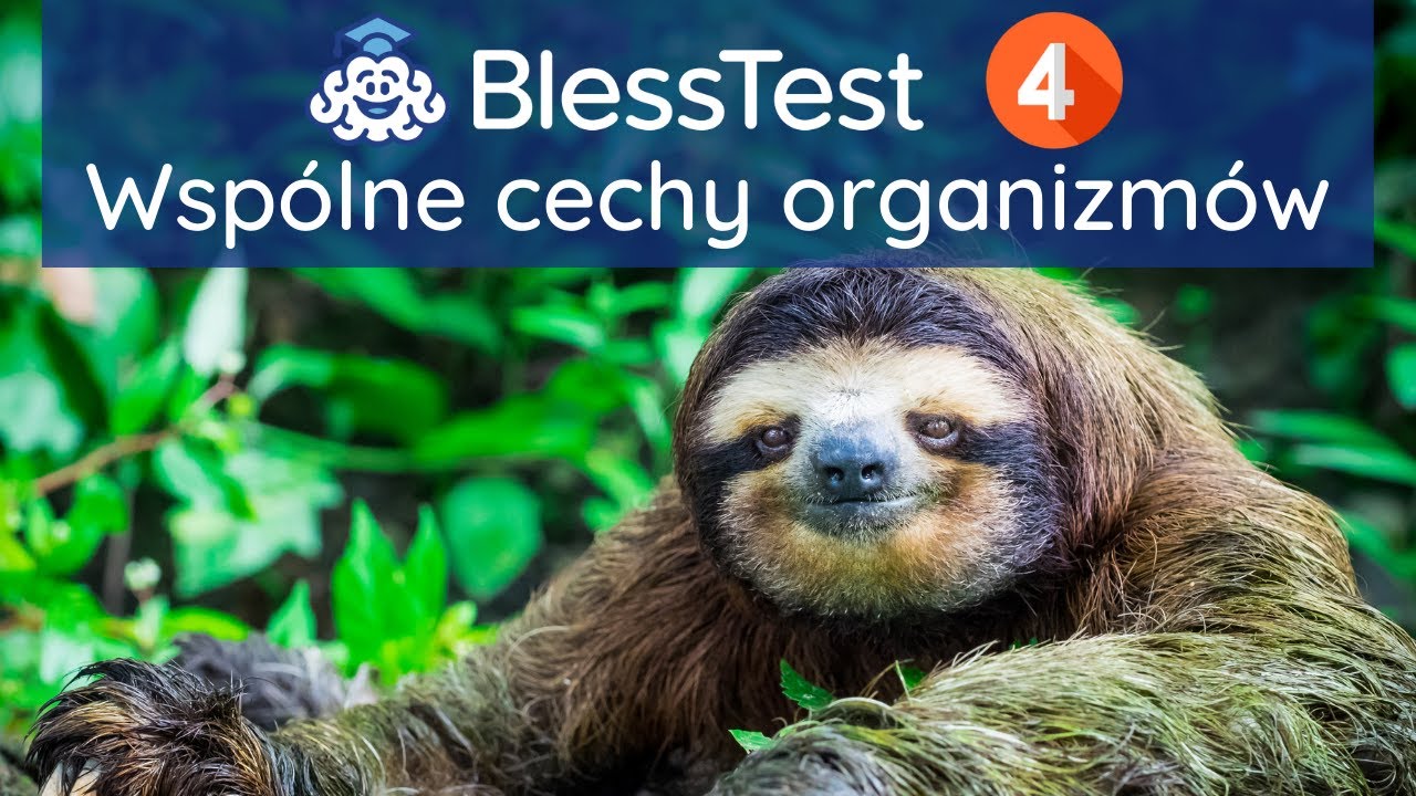 Wspólne cechy organizmów