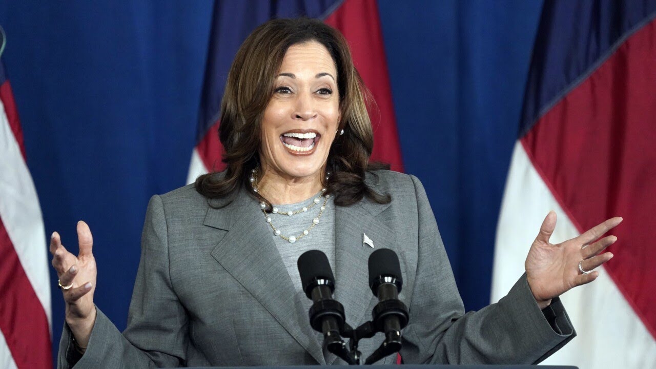‘Demented hyena on steroids’: Kamala Harris roasted over ‘failings’ as vice president