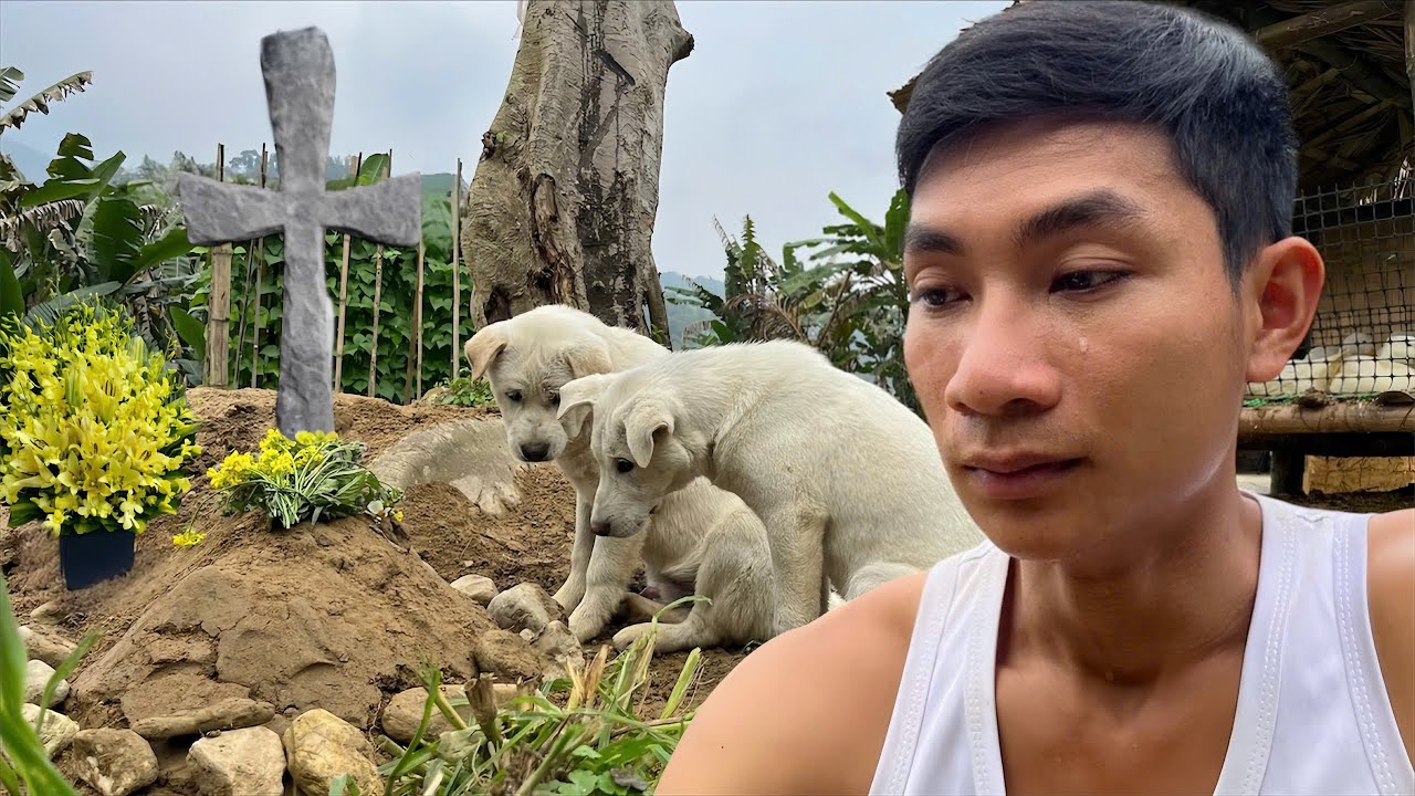 Off-Grid Life With My Dogs | A Quiet Goodbye