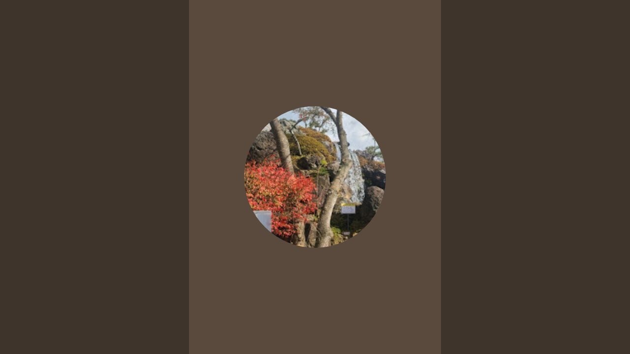 설연휴에 감기 걸린 사람의 피아노