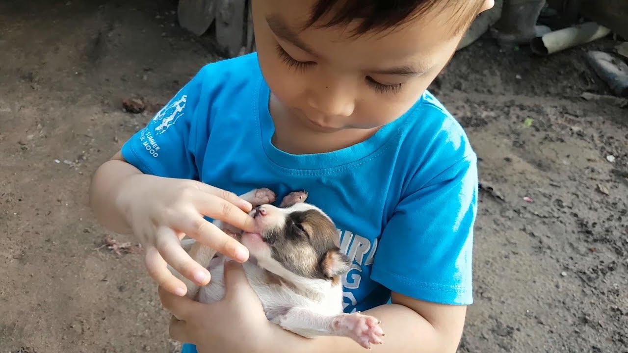 Bầy Su Dễ Thương Mới Sinh Trò Chơi Bạn Ken ❤ ChiChi ToysReview TV ❤ Đồ Chơi Fun Song Bài Hát Vần Thơ