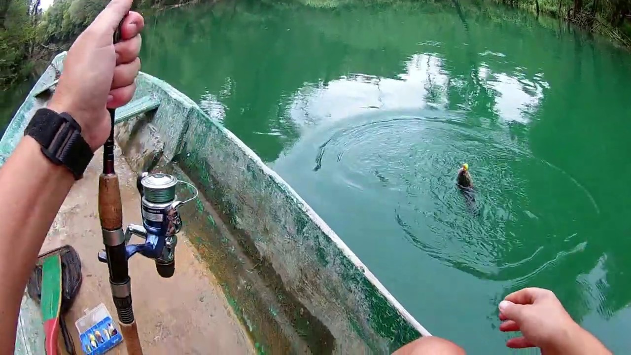 Chub fishing/Danilovgrad/Zeta/Montenegro