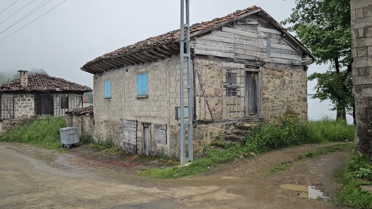 Kahvedüzü