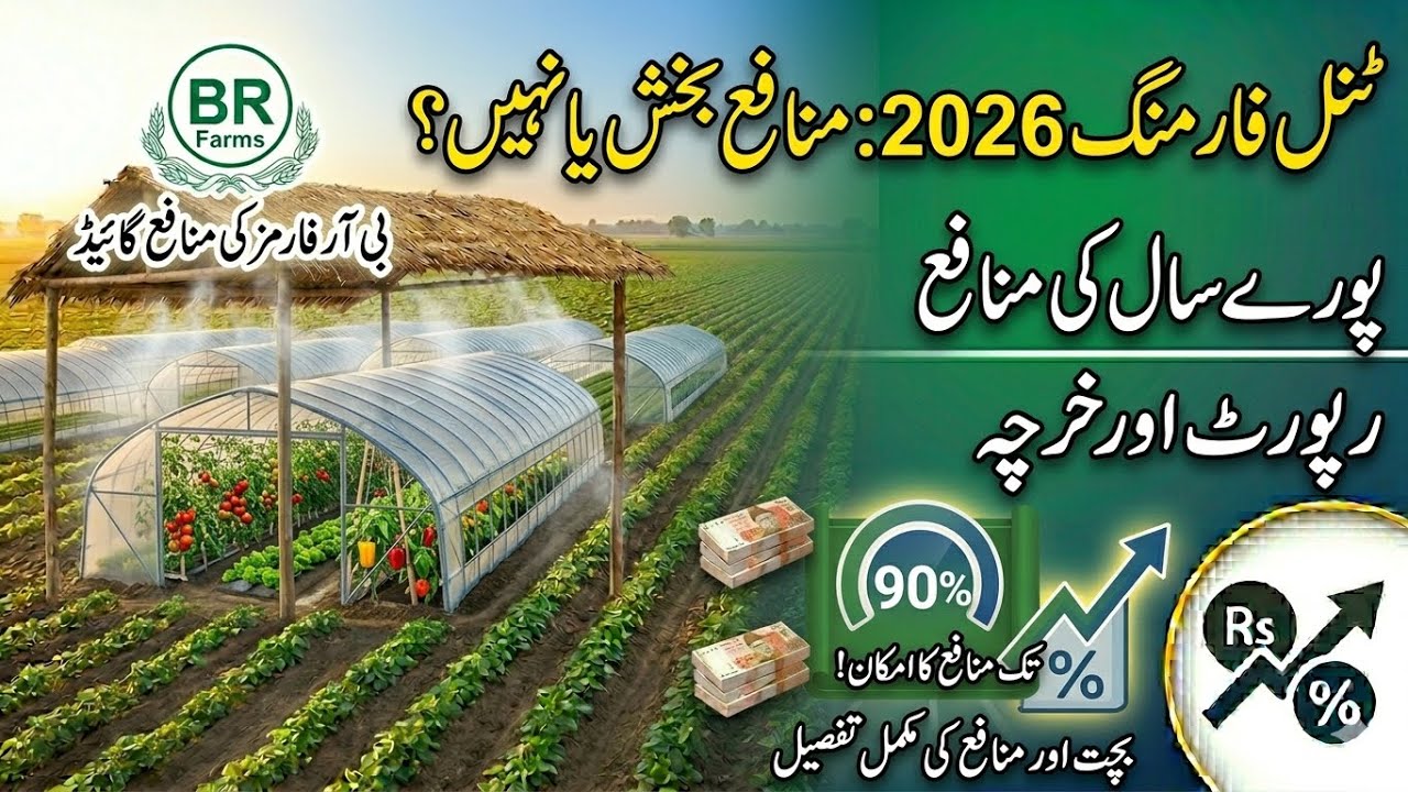 Tunnel Farming 2026 | Cost and Complete information | Tunnel Farming Pakistan 