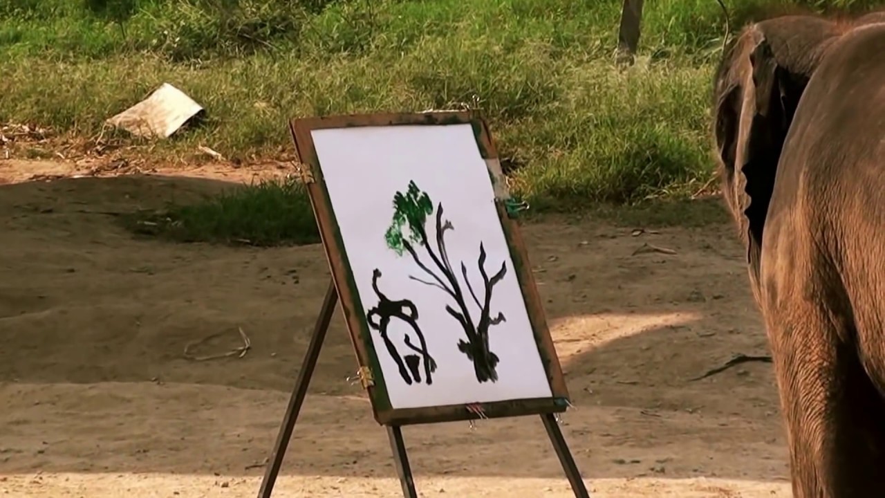 Painting Elephant in Thailand | HD
