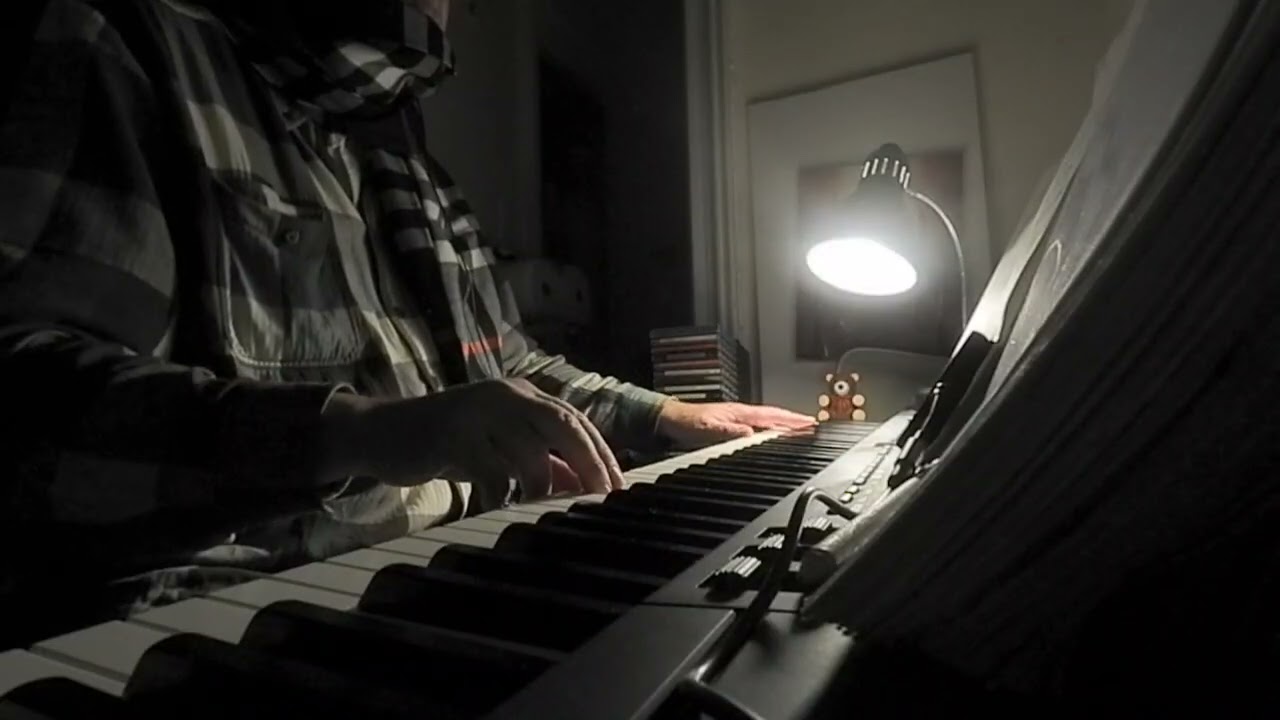 Swan Theme [Tchaikovsky] - Eugene Sokolinsky [jazz sketch]