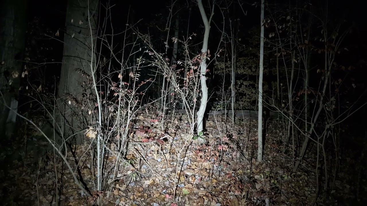 night walk