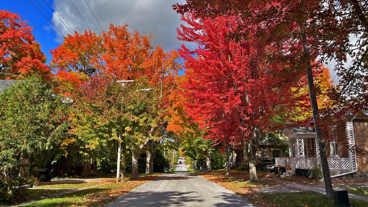 Autumn in Small Town Canada 🍂 (Ontario Fall Foliage)
