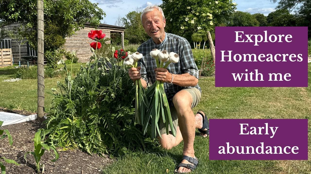 No Dig Gardening: Early Harvests, Succession Planting & Summer Crops in a Warm Spring
