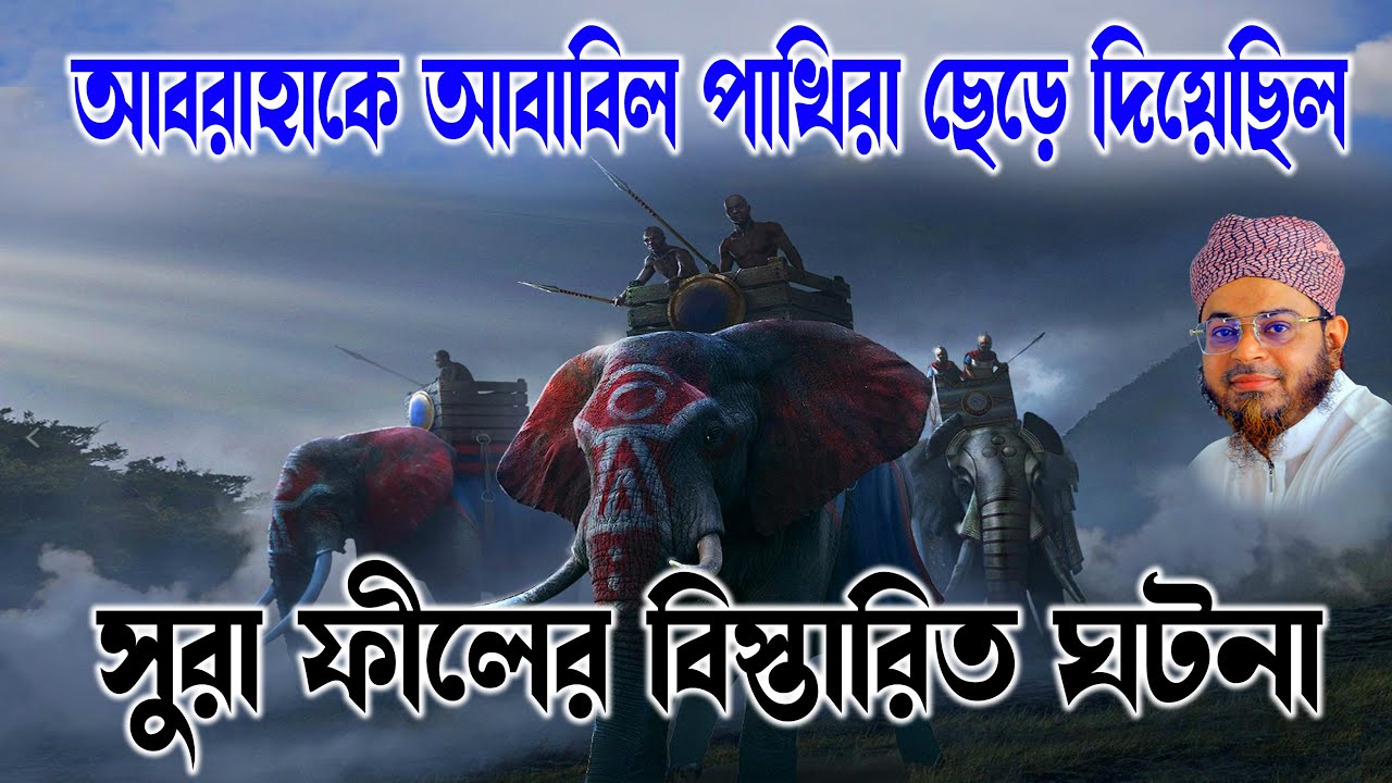 Mufti Nasir Uddin Ansari । মুফতি নাসির উদ্দিন আনসারী । আসহাবে ফীলের ঘটনা। bd waz | bangla Waz
