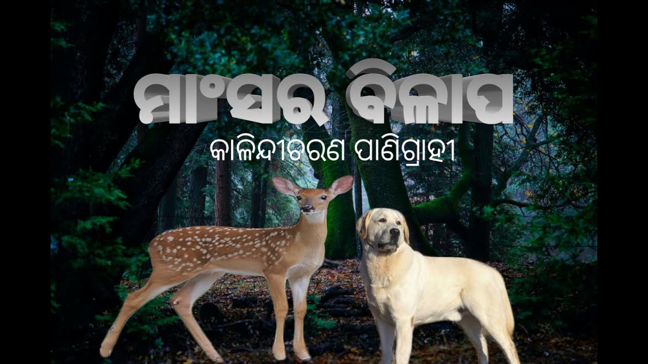 କ୍ଷୁଦ୍ରଗଳ୍ପ-ମାଂସ ର ବିଳାପ(MANSA RA BILAPA}
