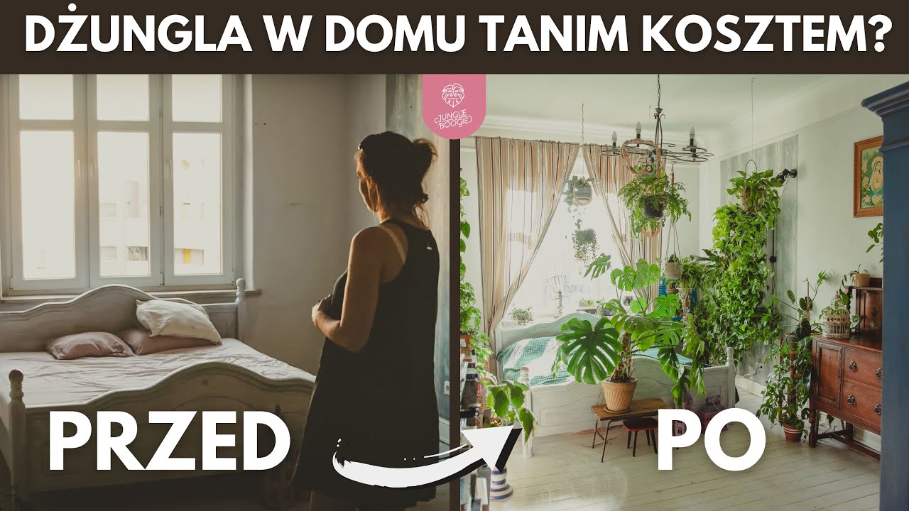 Dżungla za grosze - tanie, proste w uprawie i szybko rosnące rośliny do domowej dżungli.