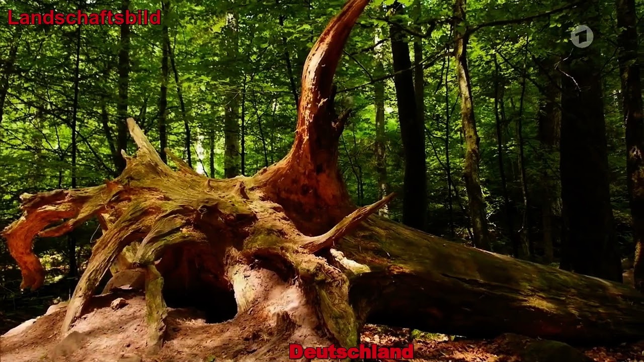 Landschaftsbild - Deutschland