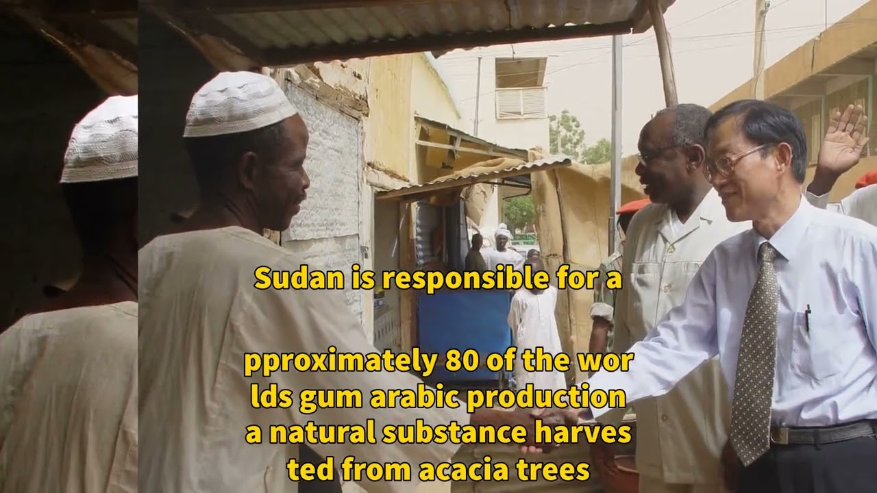 Breaking News |  Smuggling Sudan's Gum Arabic: The Hidden Ingredient in Your Favorites