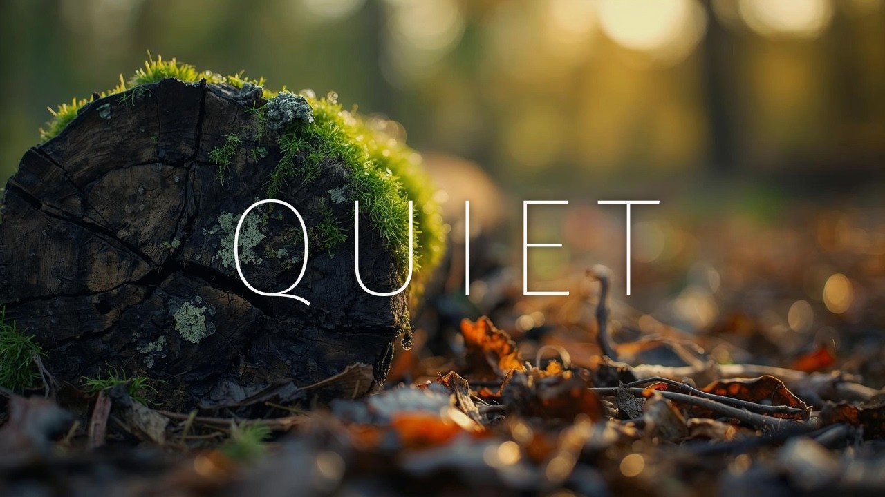 Relaxing Ambient Music for Stress Relief, Deep Focus & Meditation | Calming Forest Ambience