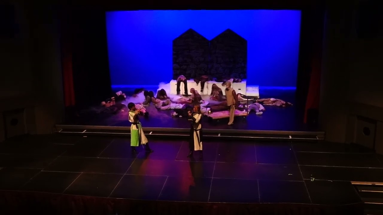 Spamalot Matinee Full Show