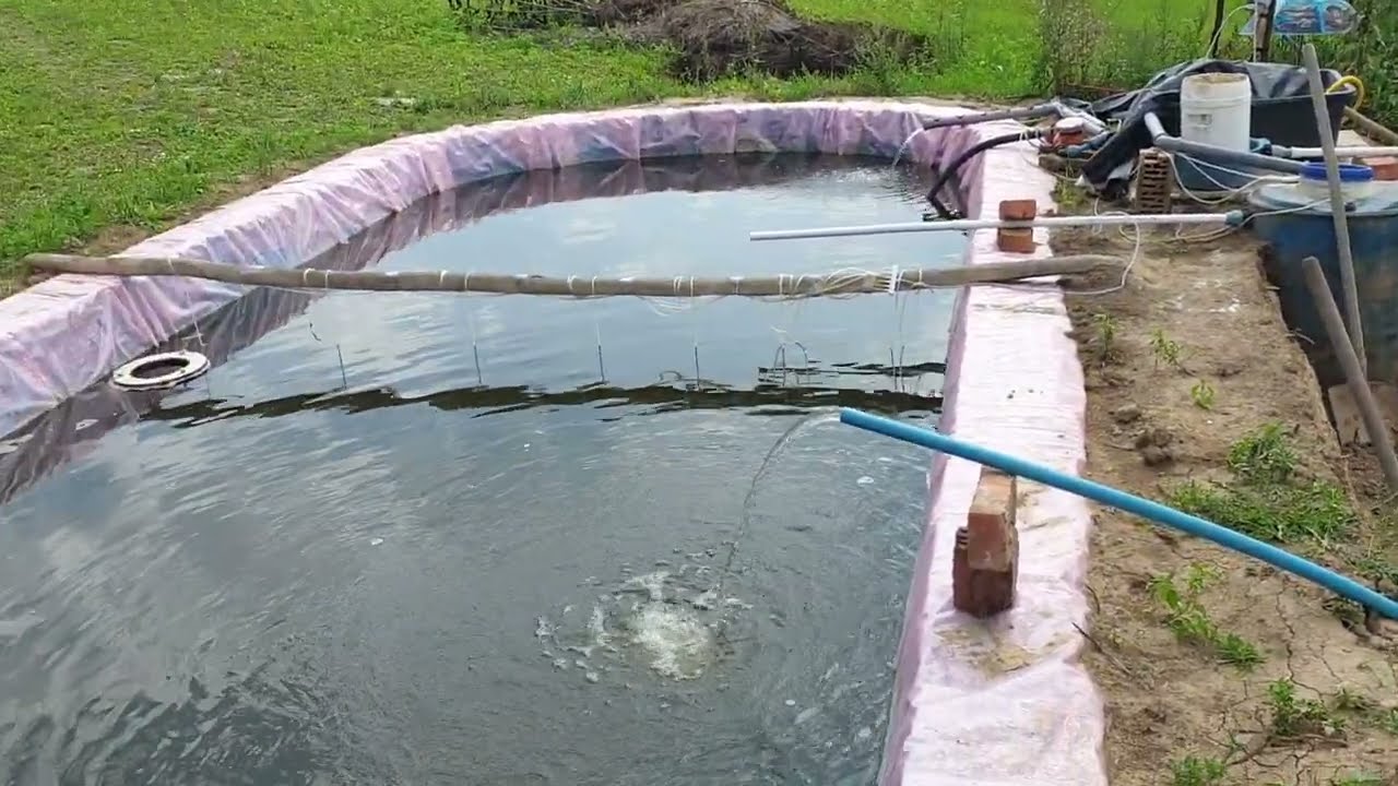 Барабанный фильтр для пруда своими руками. Do-it-yourself drum filter for a pond