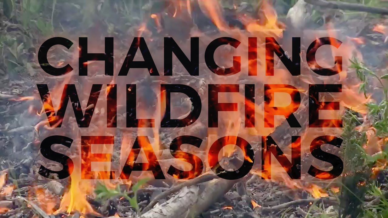 Our increasing wildfire risk: A Northland Environmental Series