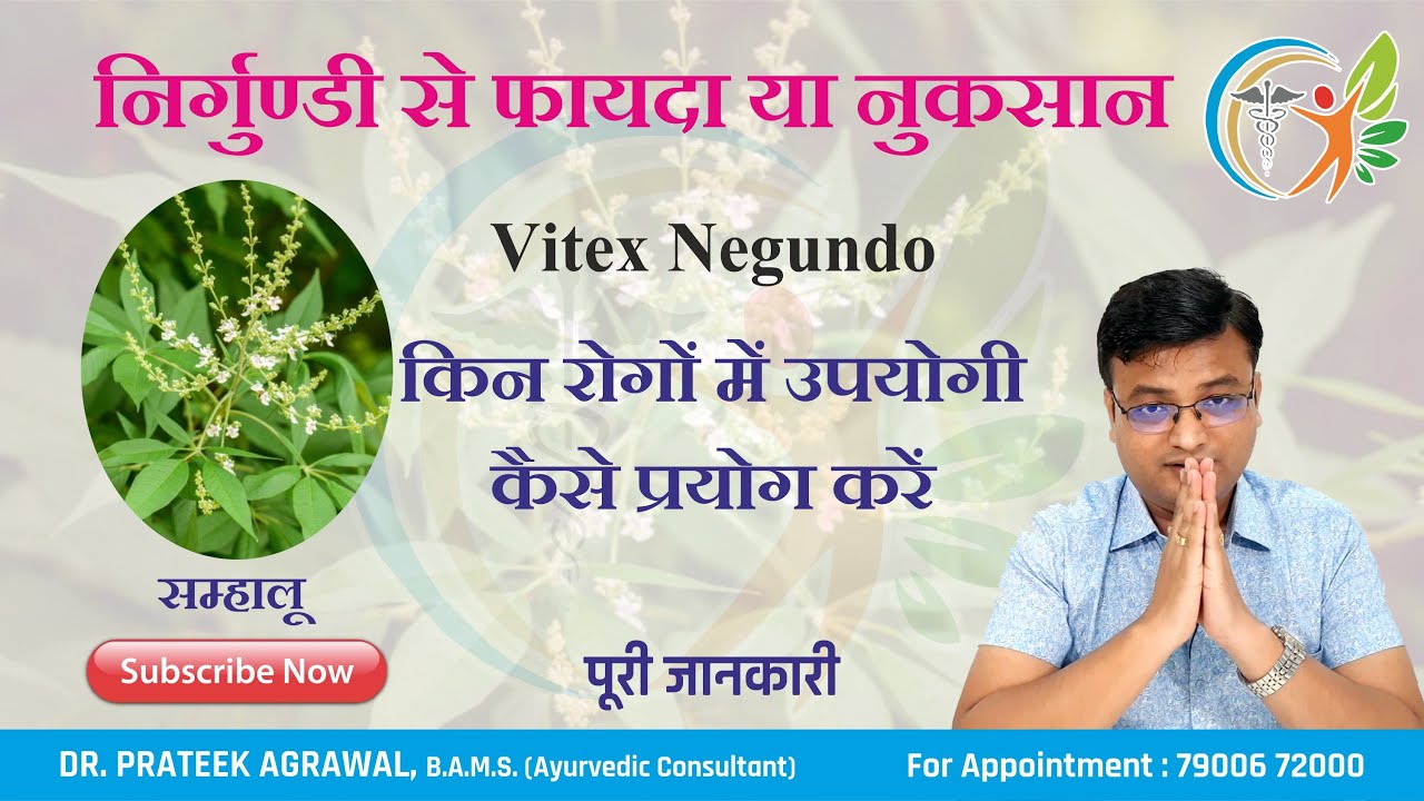 The Benefits of Nirgundi | Vitex Negundo | Benefits of Nirgundi | Seed handler | Dr. A.S. Prateek...