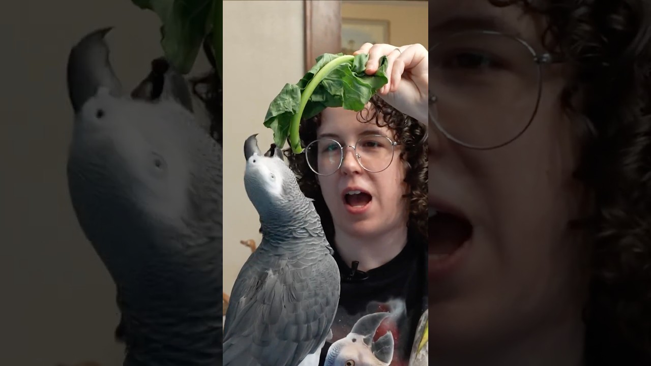 Deep Voice 