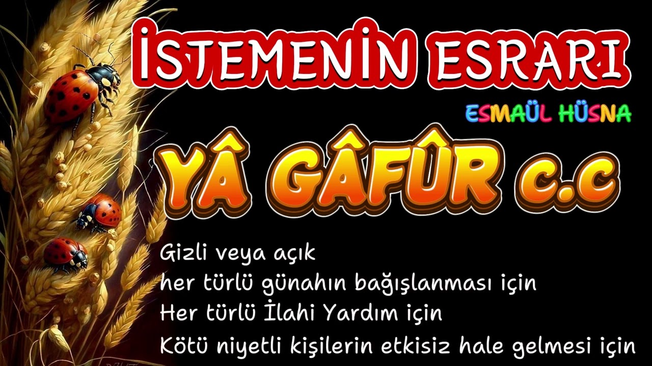 YÂ GÂFÛR c c ESRARI SIRLARI FAZİLETLERİ NELERDİR? İSTEMENİN ESRARI ESMAÜL HÜSNA #seslikitap #keşfet